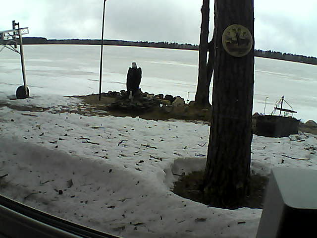 Whiteface Cam Image - Mon, 04/13/2020 2:04pm 