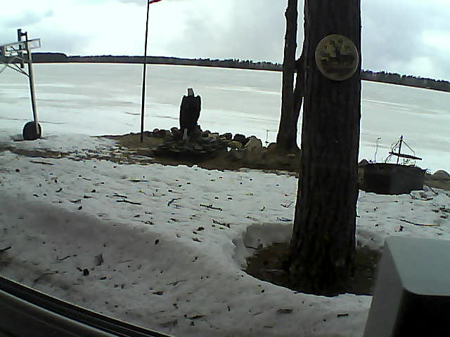 Whiteface Cam Image - Mon, 04/13/2020 2:24pm 