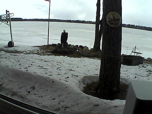 Whiteface Cam Image - Mon, 04/13/2020 2:44pm 