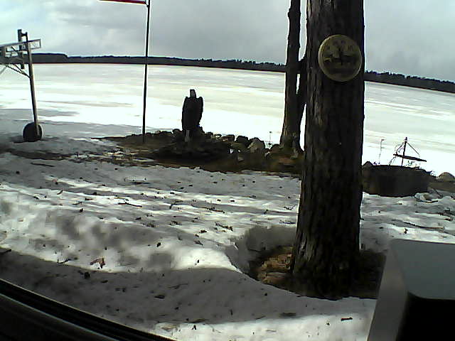 Whiteface Cam Image - Mon, 04/13/2020 2:54pm 