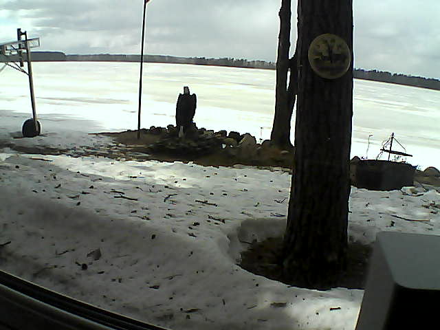 Whiteface Cam Image - Mon, 04/13/2020 3:24pm 