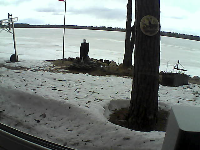 Whiteface Cam Image - Mon, 04/13/2020 3:44pm 