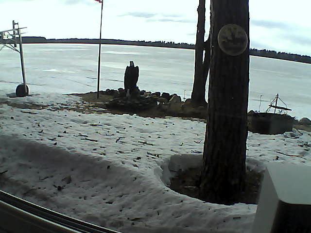 Whiteface Cam Image - Mon, 04/13/2020 6:14pm 