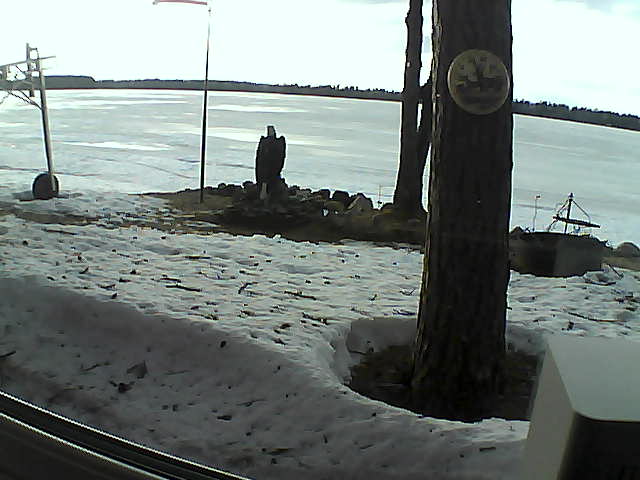 Whiteface Cam Image - Mon, 04/13/2020 6:44pm 