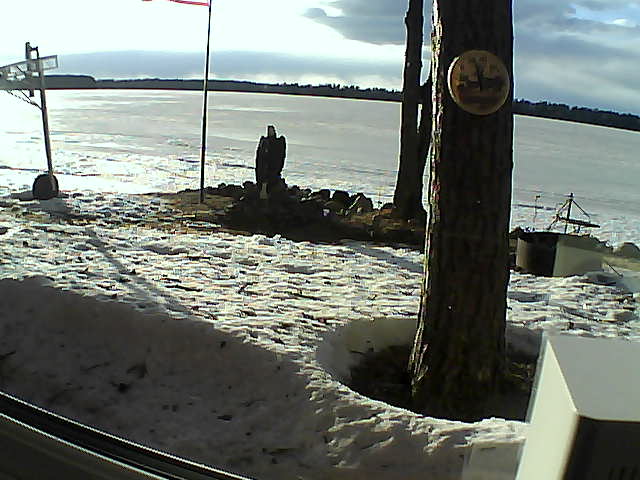 Whiteface Cam Image - Mon, 04/13/2020 6:54pm 