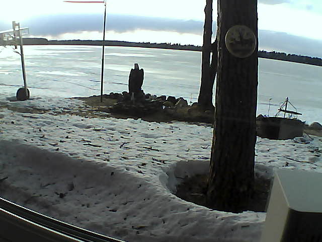 Whiteface Cam Image - Mon, 04/13/2020 7:14pm 