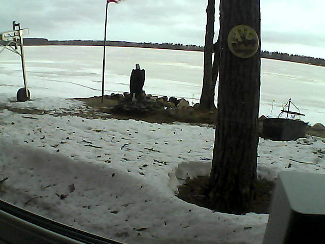 Whiteface Cam Image - Tue, 04/14/2020 6:11am 