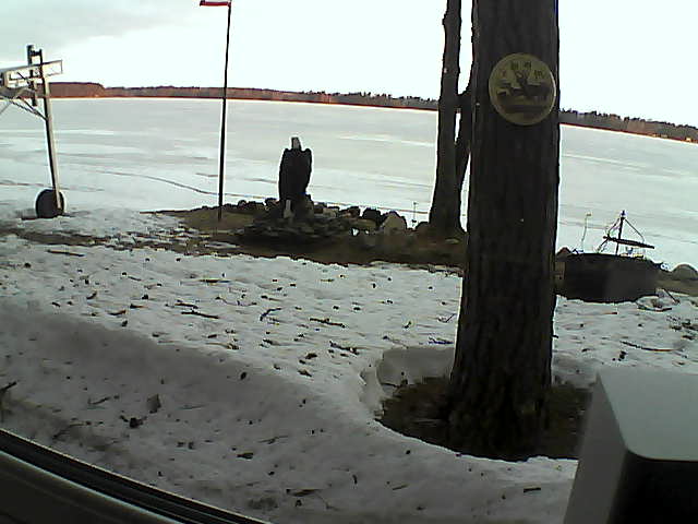 Whiteface Cam Image - Tue, 04/14/2020 6:31am 