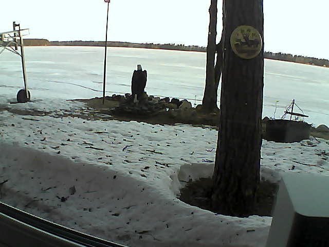 Whiteface Cam Image - Tue, 04/14/2020 6:41am 