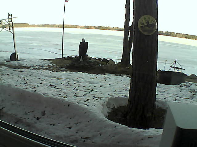 Whiteface Cam Image - Tue, 04/14/2020 7:01am 