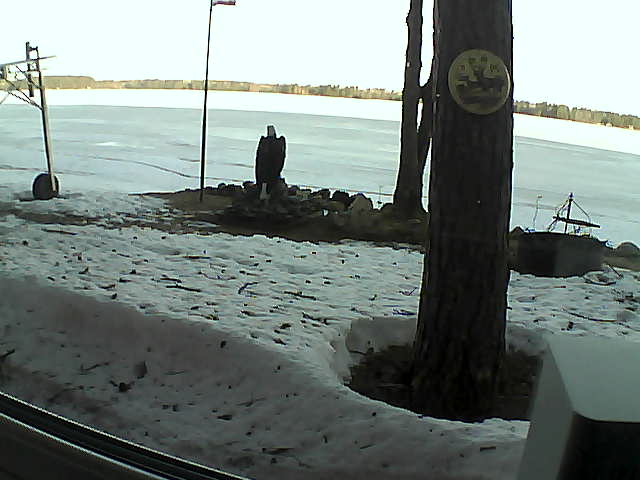 Whiteface Cam Image - Tue, 04/14/2020 7:21am 