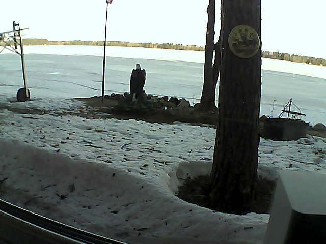 Whiteface Cam Image - Tue, 04/14/2020 7:31am 