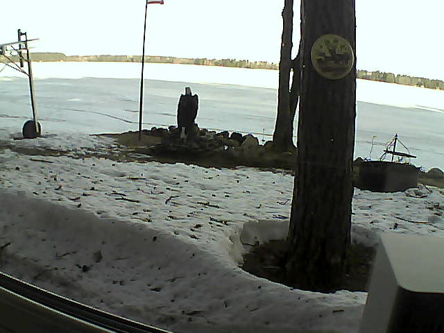 Whiteface Cam Image - Tue, 04/14/2020 7:51am 