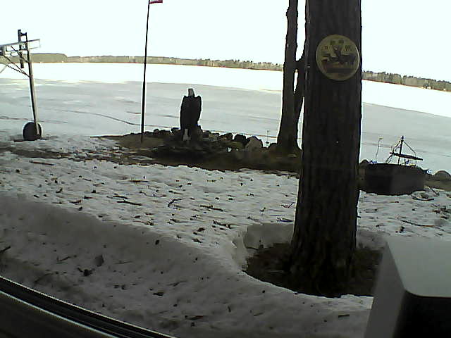 Whiteface Cam Image - Tue, 04/14/2020 8:01am 