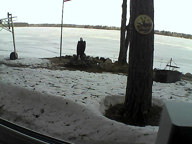 Whiteface Cam Image - Tue, 04/14/2020 8:11am 