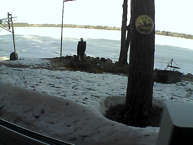 Whiteface Cam Image - Tue, 04/14/2020 8:21am 