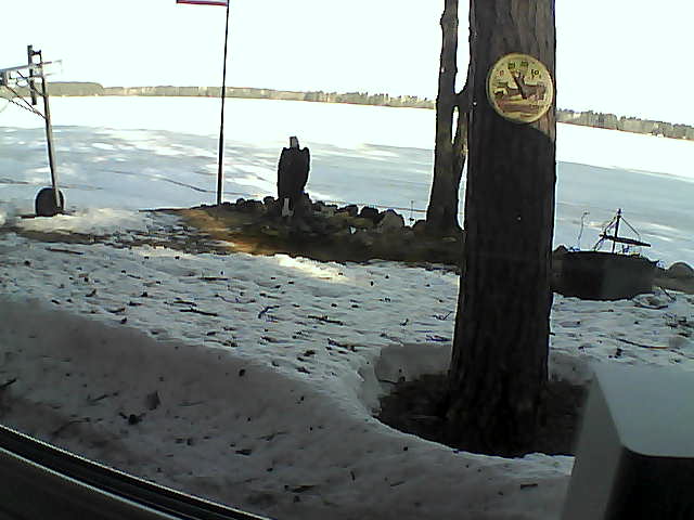 Whiteface Cam Image - Tue, 04/14/2020 8:31am 