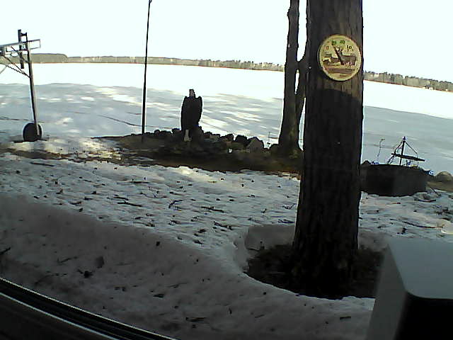 Whiteface Cam Image - Tue, 04/14/2020 8:41am 