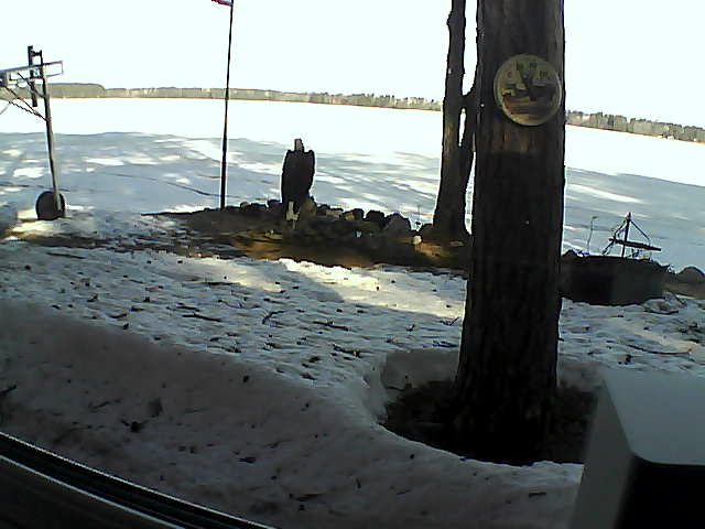 Whiteface Cam Image - Tue, 04/14/2020 8:51am 