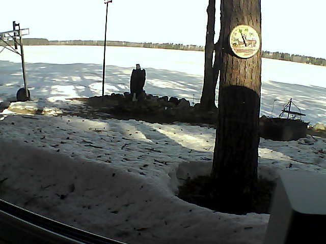 Whiteface Cam Image - Tue, 04/14/2020 9:11am 