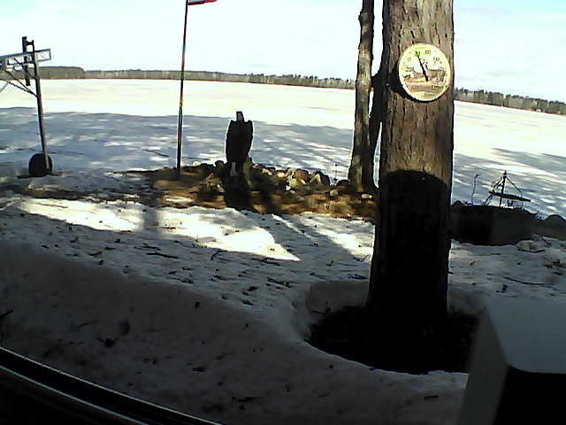 Whiteface Cam Image - Tue, 04/14/2020 9:31am 