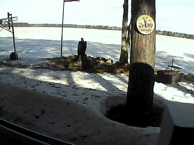 Whiteface Cam Image - Tue, 04/14/2020 9:41am 