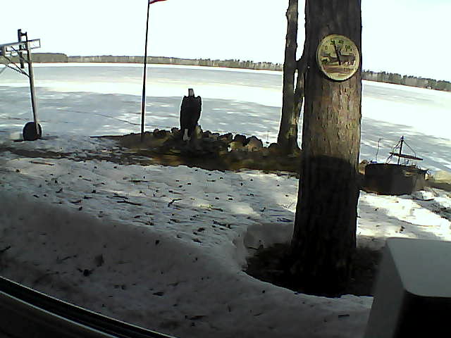 Whiteface Cam Image - Tue, 04/14/2020 9:51am 