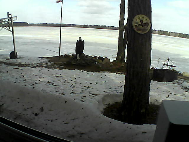 Whiteface Cam Image - Tue, 04/14/2020 10:01am 