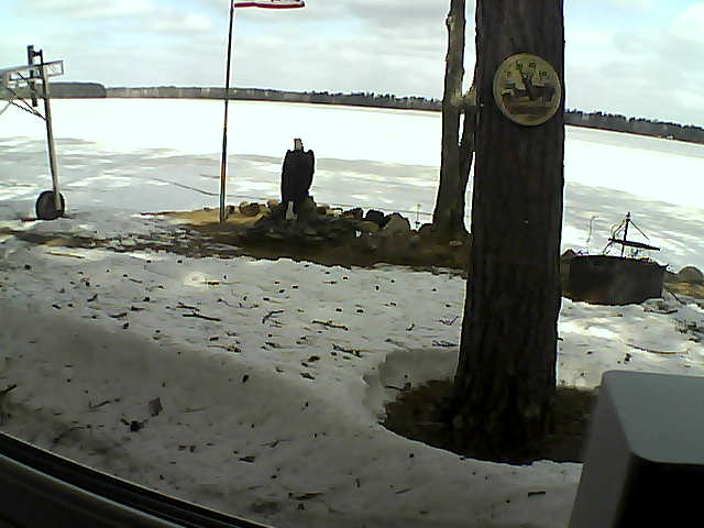 Whiteface Cam Image - Tue, 04/14/2020 10:11am 