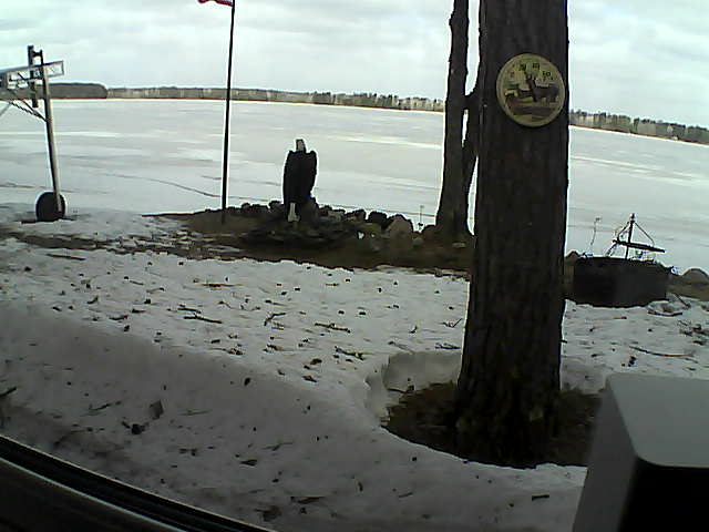 Whiteface Cam Image - Tue, 04/14/2020 10:51am 