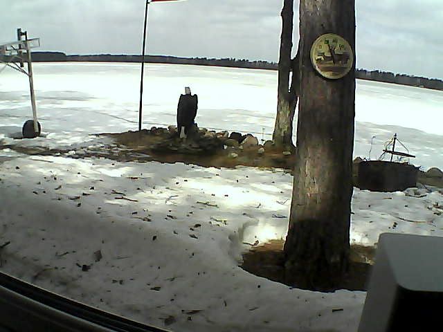 Whiteface Cam Image - Tue, 04/14/2020 11:01am 