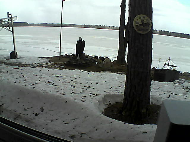 Whiteface Cam Image - Tue, 04/14/2020 11:11am 