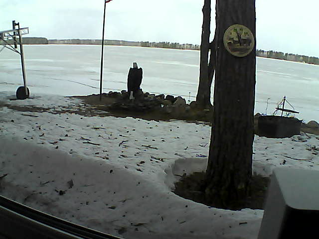 Whiteface Cam Image - Tue, 04/14/2020 11:21am 