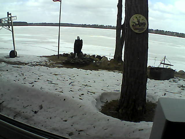 Whiteface Cam Image - Tue, 04/14/2020 11:41am 