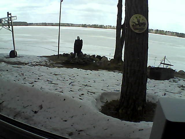 Whiteface Cam Image - Tue, 04/14/2020 11:51am 