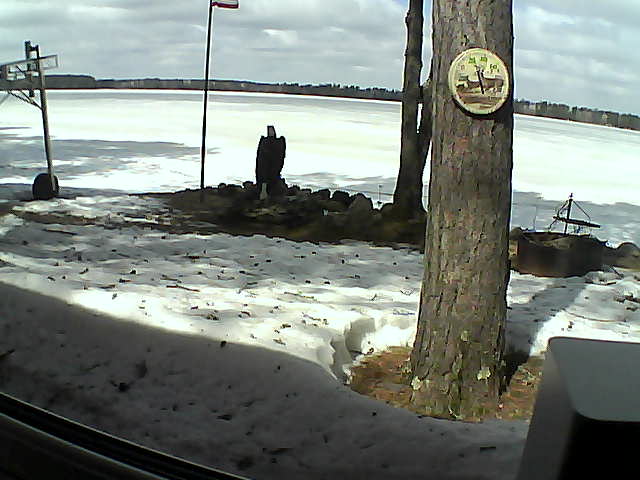 Whiteface Cam Image - Tue, 04/14/2020 12:11pm 