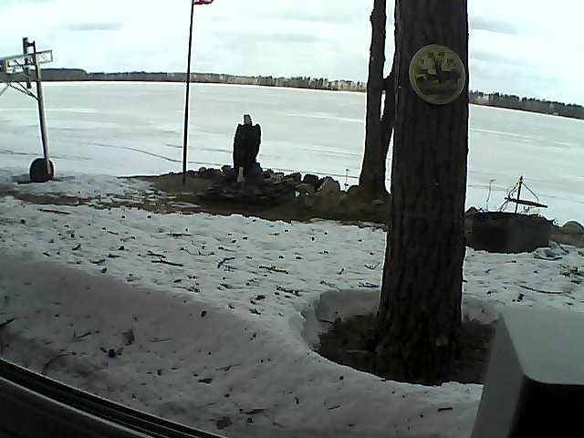 Whiteface Cam Image - Tue, 04/14/2020 12:31pm 