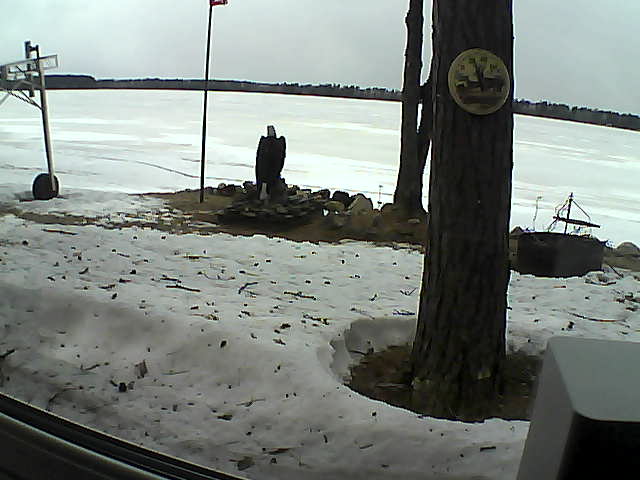 Whiteface Cam Image - Tue, 04/14/2020 1:11pm 