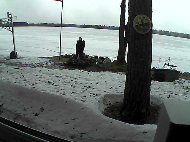 Whiteface Cam Image - Tue, 04/14/2020 2:01pm 