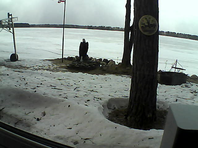 Whiteface Cam Image - Tue, 04/14/2020 2:11pm 