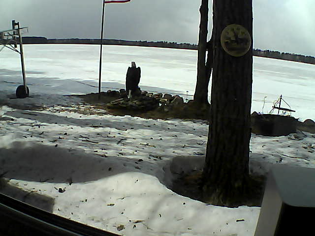 Whiteface Cam Image - Tue, 04/14/2020 2:21pm 