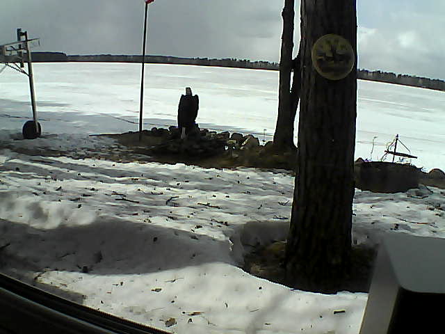 Whiteface Cam Image - Tue, 04/14/2020 2:31pm 