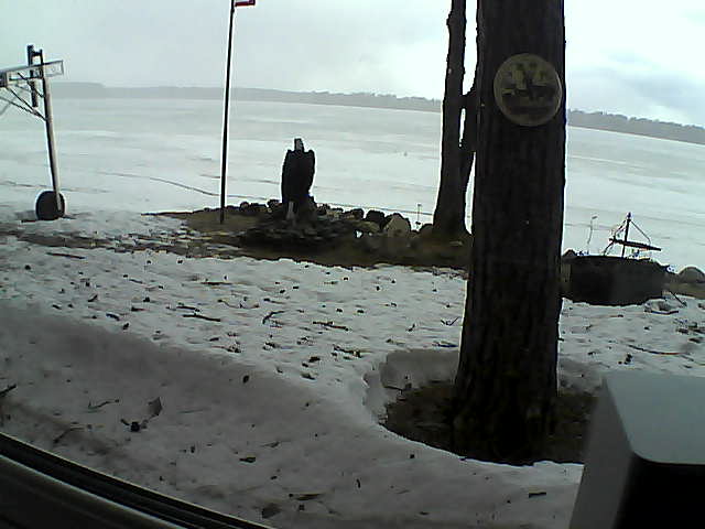 Whiteface Cam Image - Tue, 04/14/2020 2:51pm 