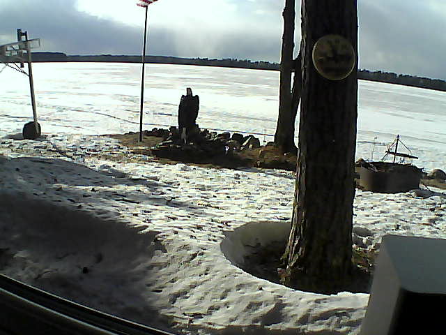 Whiteface Cam Image - Tue, 04/14/2020 6:01pm 