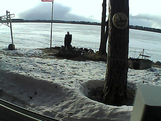Whiteface Cam Image - Tue, 04/14/2020 6:31pm 