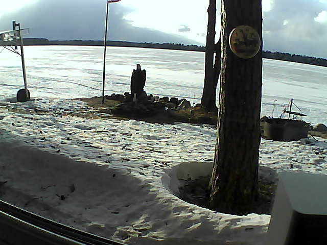 Whiteface Cam Image - Tue, 04/14/2020 6:41pm 