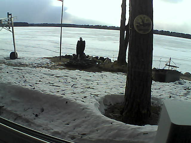 Whiteface Cam Image - Tue, 04/14/2020 6:51pm 