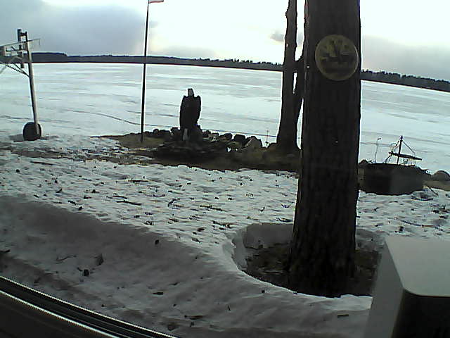 Whiteface Cam Image - Tue, 04/14/2020 7:01pm 