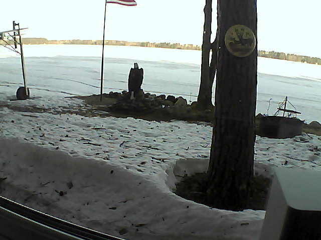 Whiteface Cam Image - Wed, 04/15/2020 7:49am 