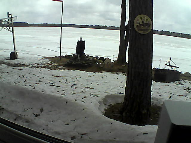 Whiteface Cam Image - Wed, 04/15/2020 9:49am 